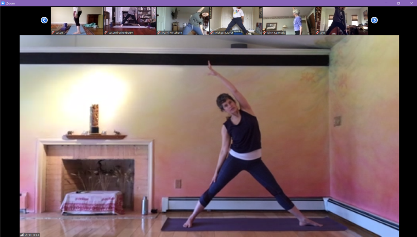How To Take Classes Online Shree Yoga